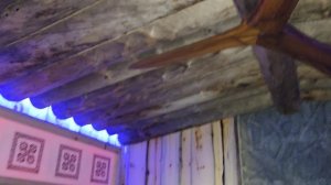 Футурус под замену(