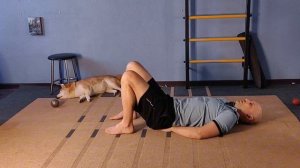 Метод Паулы. Передний сфинктер. Дерматомы. Поток и коррекция крестцово-подвздошного сочленения.