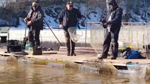 Спортзона.Поимки