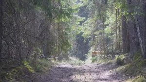 Больше чем когда либо