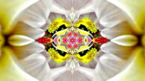 Футажи! Футаж Очаровательные фантастические пейзажи 9!