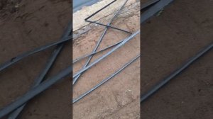 Весна пришла. Муж посеял редис и зелень