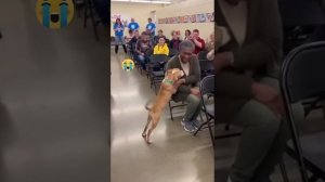 ВАУ! Как собаки из приюта находят «своего» человека? Тренд, который спасает жизни!