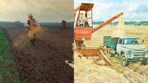 Посевные в жизни общества: кто кормит население?