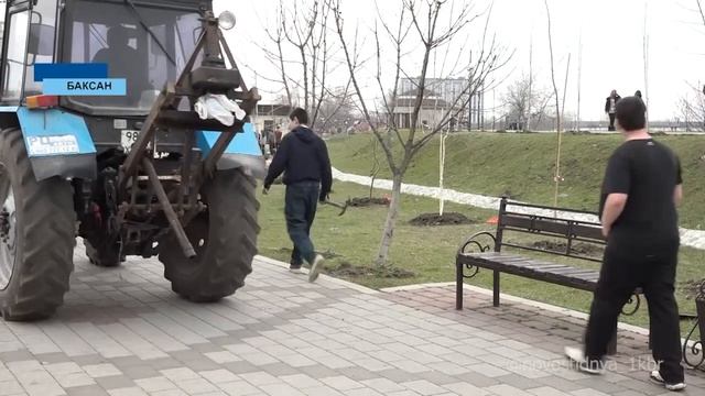 В парке мира, культуры и отдыха в Баксане появилась новая аллея. 1 КБР.