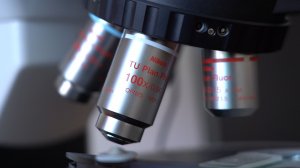 ХРАНИТЕЛИ ТАЙН «ДРАКОНОВ»