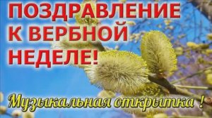 С НАЧАЛОМ ВЕРБНОЙ НЕДЕЛИ!МУЗЫКАЛЬНАЯ ОТКРЫТКА