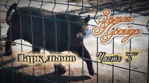 Зоопарк #Земля_Прайда. Парк Львов. Часть «3»