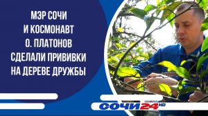 Мэр Сочи и космонавт О. Платонов сделали прививки на Дереве Дружбы
