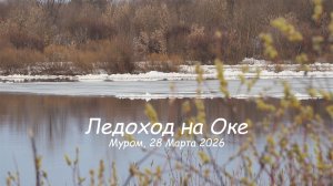 Ледоход на Оке, Муром, 28 Марта 2026 (автор tiger49234) Ice drift on the Oka River, Murom, 2026