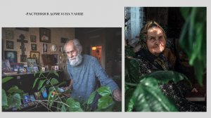 ЦВЕТ ЗЕЛЕНЫЙ В ФОТОГРАФИИ И ИСКУССТВЕ