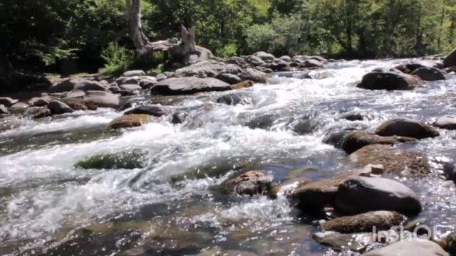 Жизнь - это подарок. Так ли это на самом деле?