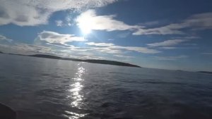 ВОДА ОТСТУПИЛА НЕ НАДОЛГО!!! ЛУНА ОСВЕТИЛА ПОЛНУЮ СЕТЬ МОРСКОЙ РЫБЫ! НУ ЭТО ЛИ НЕ ФАНТАСТИКА!