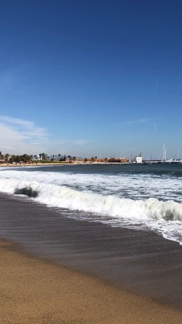 Барселонета🌴🌊