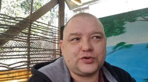 151. Яндекс блокирует Джентру Весту и Логан Прицеп в АТИ #dentaxi