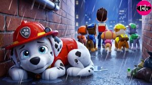 Щенячий патруль и Маршалл. Залипательное видео. Мультфильм для детей и малышей. Анимация 342