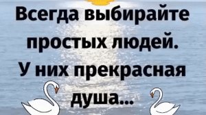 Разговоры о Важном.От Души до Ии.Что такое Вера?
