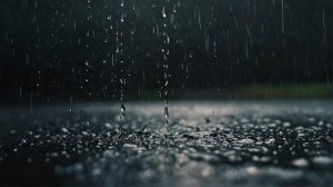 Палпалычи в БОООЙ!!!!!!!!!!!!