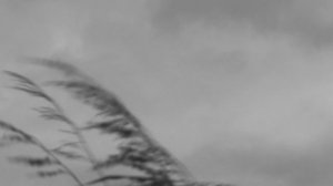 Сгорали / Лым