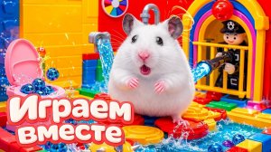 ХОМЯК ВЫБИРАЕТСЯ ИЗ СЕКРЕТНОЙ ХОМЯЧЕЙ ТЮРЬМЫ ! Играем ВМЕСТЕ 2 Помогаем выбраться из лабиринта