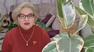 4 часть. После зимовки оп@рышей в Таиланде введут ограничения❗️