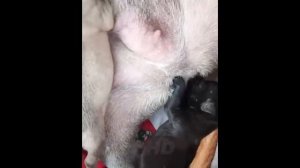 BEST OF THE MONTH #9 - Hilarious People's Life 🤣🤣 TRY NOT TO LAUGH 😂 PHD