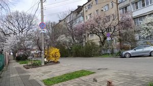 Наши пятница и суббота.Заказ с Китая.