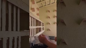 Розыгрыш голубей