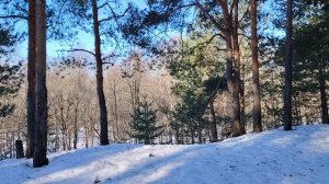 Переезд на новое место жительства в большой город ради работы