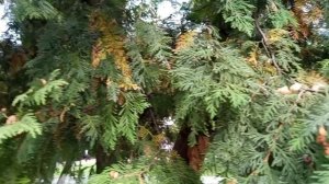 #ах это лето Красота