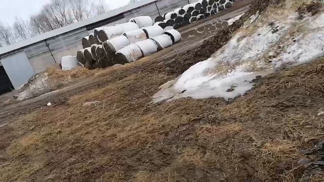 ЖЕСТКОЕ ВИДЕО МИХАЛЫЧ ТЕПЕРЬ В ШЛЕМЕ смотреть онлайн