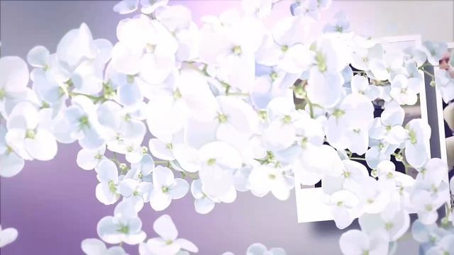 Погоны на женских плечах – не украшение, а готовность в любой ситуации помогать людям