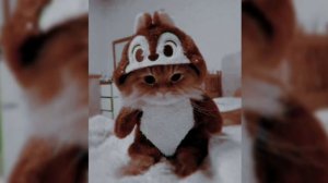 плейлист 🎧 популярных песен ( speed up )-1