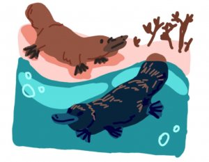 играю в блек раша