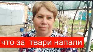 #215🏡Впервые такое/Что за твари и как с ними бороться/Работы на участке продолжаются