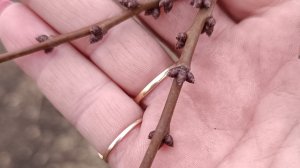 Саша психанула и замучала шуруповёрт) Шьём. Не понятно что выросло.