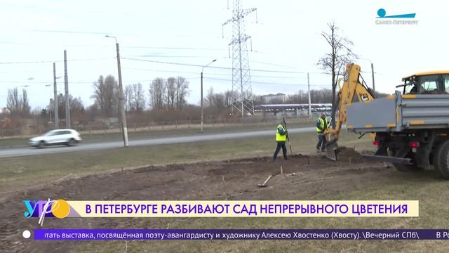Сад непрерывного цветения появится в Красносельском районе