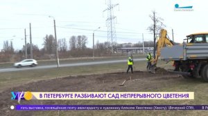 Сад непрерывного цветения появится в Красносельском районе