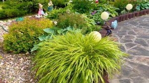 Многолетние растения с линейными и мечевидными листьями в дизайне сада.