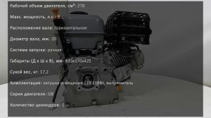 Двигатель EVOLINE (ZONGSHEN) GB270B, 9 л.с.