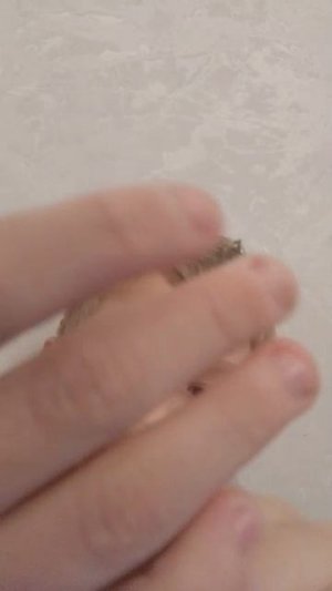 очистил 5 рублевую монету