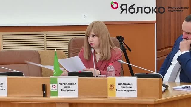 Депутат Думы Великого Новгорода Анна Черепанова поставила неуд мэру Розбауму