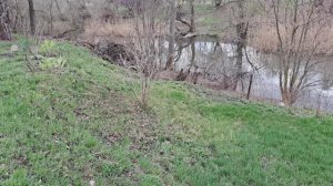 Весна! Конец марта! Мой огород. Первая обработка растений!