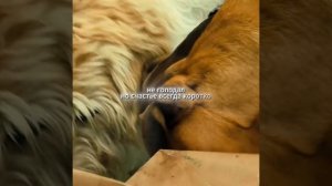 Фильм на вечер !