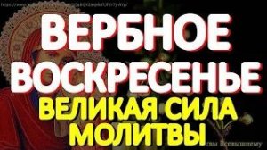 Вербное Воскресенье. Просите сегодня все, о чем желаете. У молитвы огромная сила