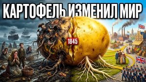 Как один овощ создал современную экономику (и почти уничтожил Ирландию)