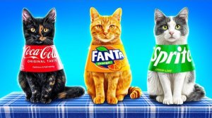 Я vs животные челлендж. Лайфхаки для владельцев животных