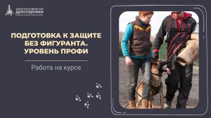 Подготовка к защите без фигуранта. Уровень ПРОФИ | Работа на курсе