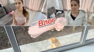 Влог, что себе купила