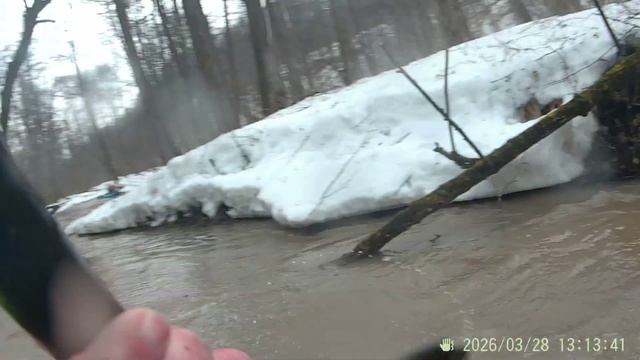 Комола 28.03.2026